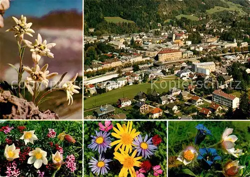 AK / Ansichtskarte Bad Ischl Salzkammergut Blick ins Tal Edelweiss Enzian Alpenflora Kat. Bad Ischl