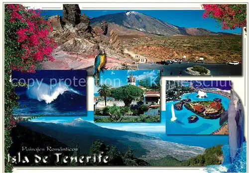 AK / Ansichtskarte Tenerife Las Canadas del Teide Icod Kat. Islas Canarias Spanien