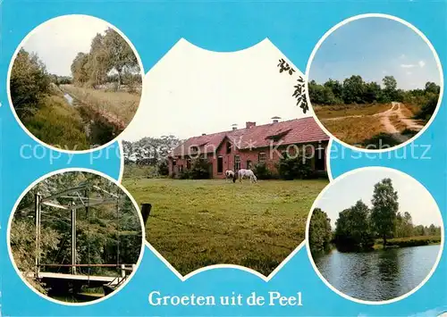 AK / Ansichtskarte Peel en Maas Landschaftspanorama Bauernhof Pferde