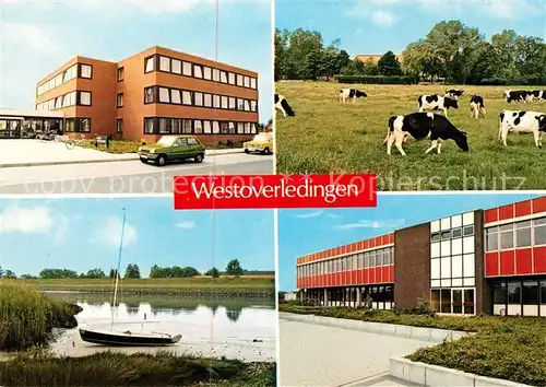 AK / Ansichtskarte Westoverledingen Rathaus Ems Rinder Viehweide Schule Collhusen Kat. Westoverledingen