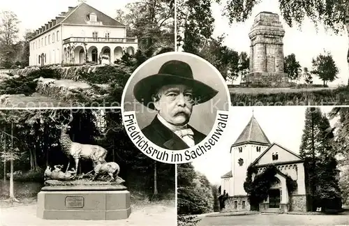 AK / Ansichtskarte Friedrichsruh Aumuehle Schloss Bismarck Mausoleum Bismarckturm Hirschgruppe Skulpturen Kat. Aumuehle