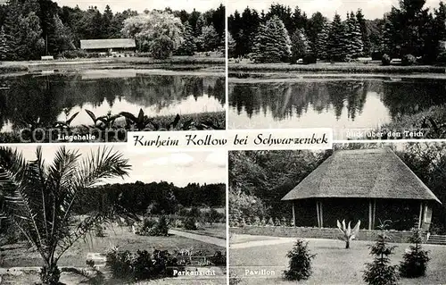 AK / Ansichtskarte Schwarzenbek Kurheim Kollow Liegehalle Teich Park Pavillon Kat. Schwarzenbek