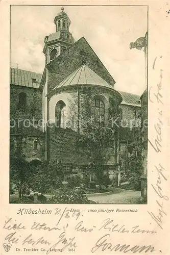 AK / Ansichtskarte Hildesheim 1000jaehriger Rosenstock Dom Kat. Hildesheim