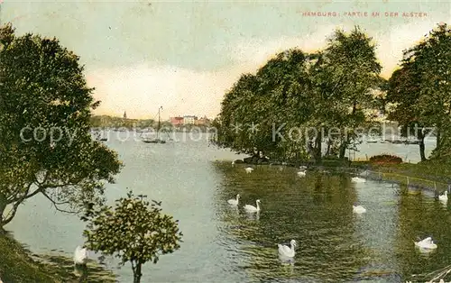 AK / Ansichtskarte Hamburg Partie an der Alster Schwaene Kat. Hamburg