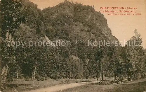 AK / Ansichtskarte Wildenstein Haut Rhin Massif du Schlossberg Kat. Wildenstein