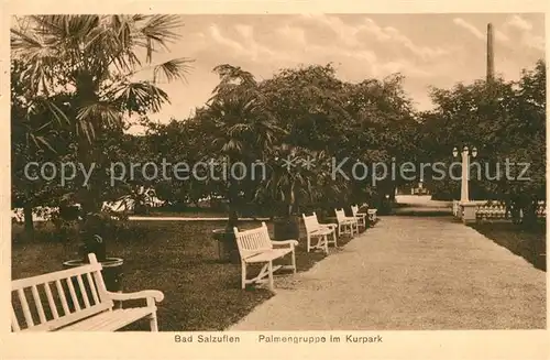 AK / Ansichtskarte Bad Salzuflen Palmengruppe im Kurpark Kat. Bad Salzuflen