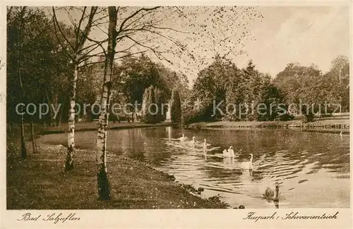 AK / Ansichtskarte Bad Salzuflen Kurpark Schwanenteich Kat. Bad Salzuflen