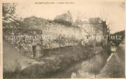 AK / Ansichtskarte Montargis Loiret Vieilles Murailles Kat. Montargis
