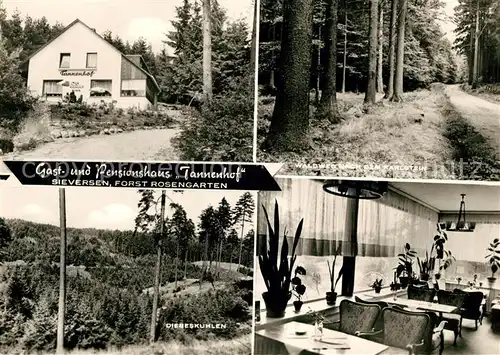 AK / Ansichtskarte Sieversen Gasthaus Pension Tannenhof Waldweg Landschaftspanorama Kat. Rosengarten