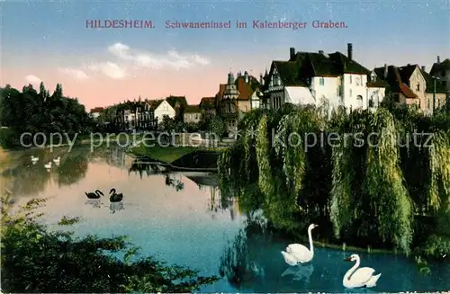 AK / Ansichtskarte Hildesheim Schwaneninsel im Kalenberger Graben Kat. Hildesheim