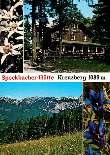 AK / Ansichtskarte Breitenstein Niederoesterreich Speckbacher Huette Edelweiss Kat. Breitenstein Semmering