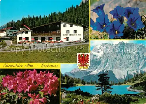 AK / Ansichtskarte Ehrwald Tirol Ehrwalder Alm Seebensee Enzian