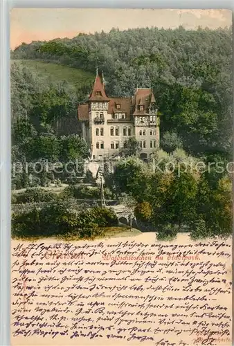 AK / Ansichtskarte Meissen Elbe Sachsen Waldschloesschen im Stadtpark Kat. Meissen