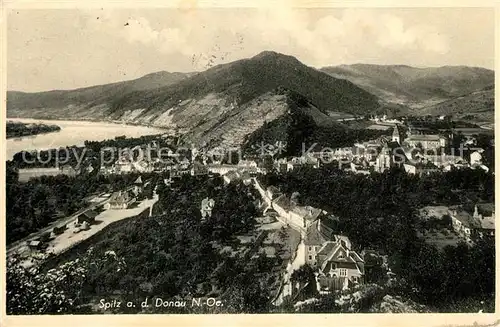 AK / Ansichtskarte Spitz Donau Panorama Kat. Spitz Wachau Donau