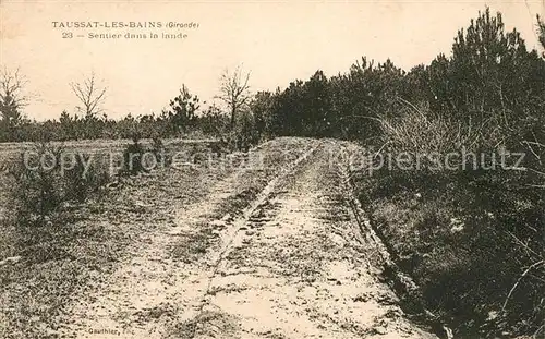 AK / Ansichtskarte Taussat les Bains Sentier dans la lande Kat. Lanton