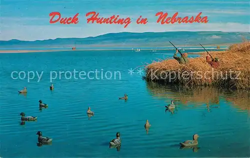 AK / Ansichtskarte Enten Duck Hunting Nebraska Platte River  Kat. Tiere