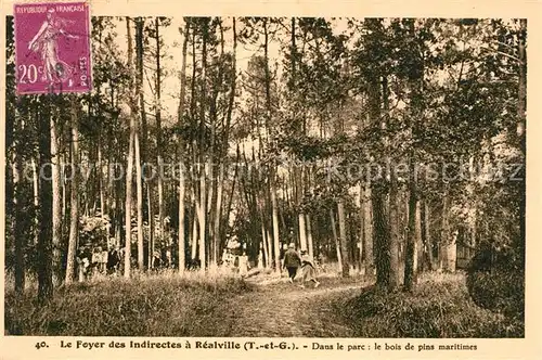 AK / Ansichtskarte Realville Foyer des Indirectes dans le parc bois de pins maritimes Kat. Realville