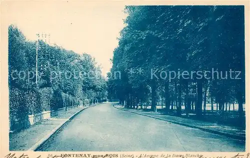 AK / Ansichtskarte Fontenay sous Bois Avenue de la Dame Blanche Kat. Fontenay sous Bois