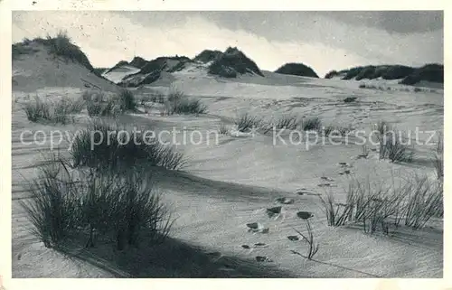 AK / Ansichtskarte Sylt Duenenpartie Kat. Sylt Ost