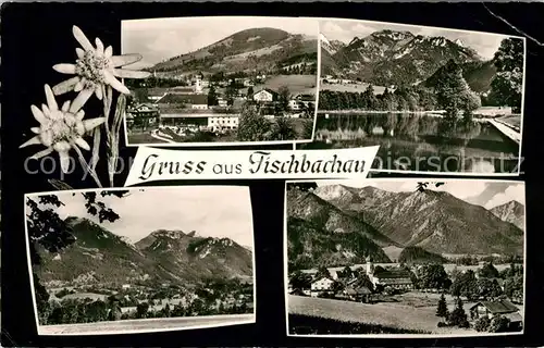 AK / Ansichtskarte Fischbachau Teilansichten Landschaftspanorama Bayerische Alpen Edelweiss Kat. Fischbachau