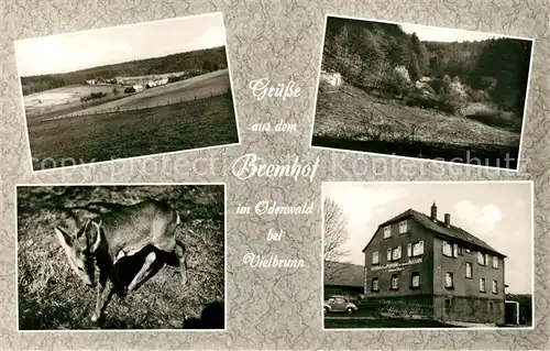 AK / Ansichtskarte Bremhof Odenwald Gasthaus Pension Landschaftspanorama Rehkitz Kat. Michelstadt