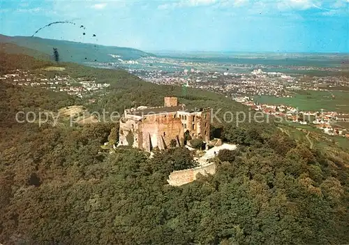 AK / Ansichtskarte Hambach Neustadt Hambacher Schloss Fliegeraufnahme