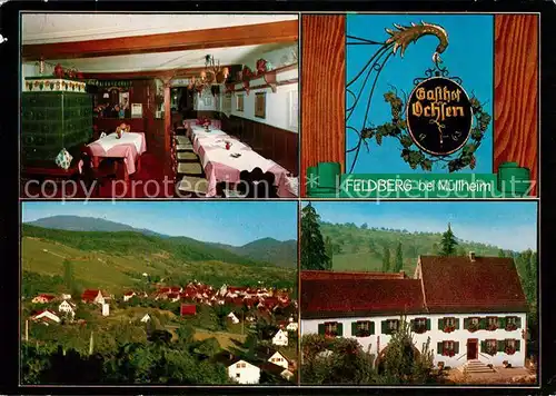 AK / Ansichtskarte Feldberg Muellheim Gasthaus Ochsen Kat. Muellheim