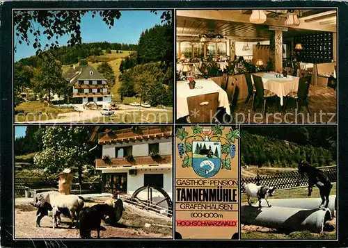 AK / Ansichtskarte Grafenhausen Schwarzwald Gasthaus Pension Tannenmuehle Ziegen Pferde Kat. Grafenhausen