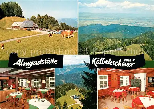 AK / Ansichtskarte Muenstertal Schwarzwald Almgastaette Kaelbelescheuer Kuehe Kat. Muenstertal