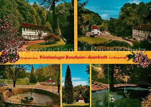 AK / Ansichtskarte Auerbach Bergstrasse Fuerstenlager Schwanenteich Kat. Bensheim