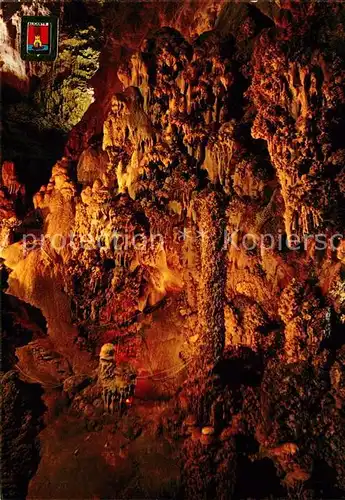 Hoehlen Caves Grottes Alicante Busot Cuevas de Canalobre Cactus  Kat. Berge