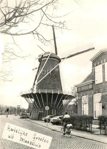 Maassluis Molen de Hoop Kat. Maassluis