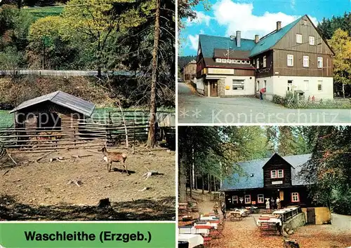 AK / Ansichtskarte Waschleithe Tierpark Gaststaette Osterlamm Koehlerhuette Kat. Beierfeld Erzgebirge