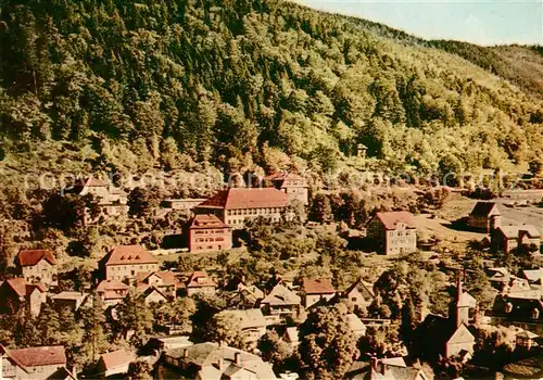 AK / Ansichtskarte Schwarzburg Thueringer Wald Fliegeraufnahme Kat. Schwarzburg