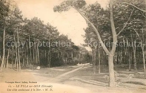 AK / Ansichtskarte Le Pyla sur Mer Une allee conduisant a la Mer