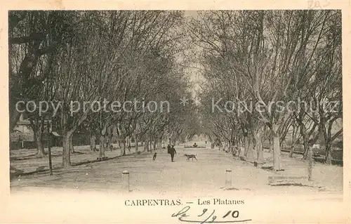 Carpentras Les Platanes Kat. Carpentras