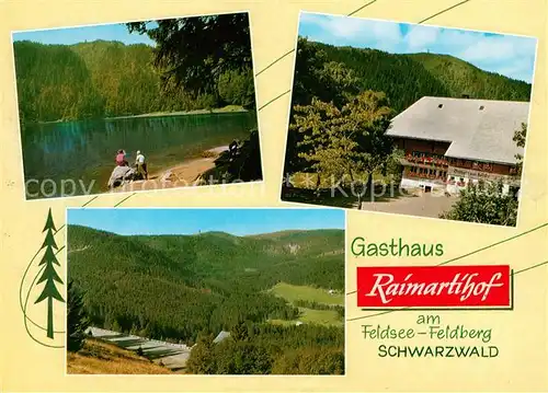 AK / Ansichtskarte Feldberg Schwarzwald Gasthaus Raimartihof am Feldsee Kat. Feldberg (Schwarzwald)
