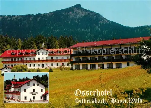 AK / Ansichtskarte Silbersbach Osserhotel Kat. Lohberg