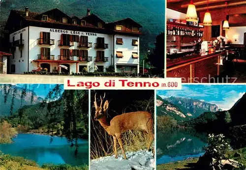 AK / Ansichtskarte Tenno Albergo Lago di Tenno Wild 