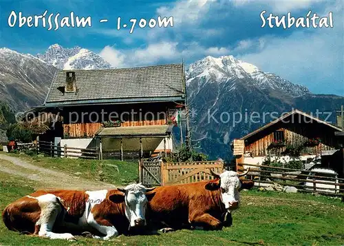 AK / Ansichtskarte Neustift Stubaital Tirol Oberissalm Jausenstation Kuehe Schlicker Seespitze Hoher Burgstall Stubaier Alpen Kat. Neustift im Stubaital