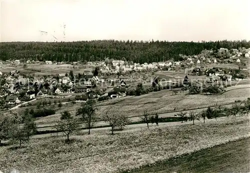 AK / Ansichtskarte Dornstetten Wuerttemberg Panorama Kat. Dornstetten