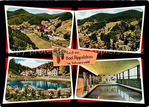 Bad Rippoldsau Schwarzwald Hallenbad Park See Panoramen Kat. Bad Rippoldsau Schapbach