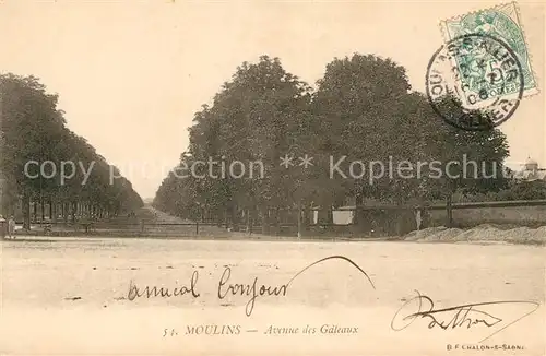 AK / Ansichtskarte Moulins Allier Avenue des Gateaux Kat. Moulins