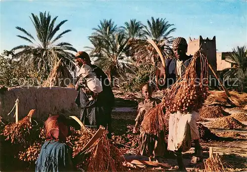 AK / Ansichtskarte Typen Arabien Maroc Egrenage des Dattes  Kat. Typen