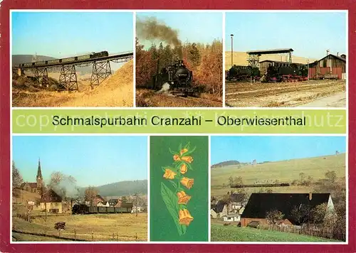 AK / Ansichtskarte Lokomotive Schmalspurbahn Cranzahl Oberwiesenthal Viadukt Unterneudorf  Kat. Eisenbahn