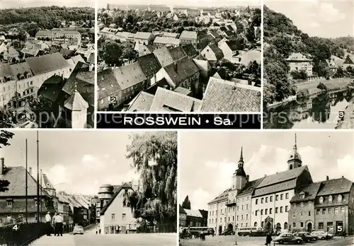 AK / Ansichtskarte Rosswein Rathaus Talbad Weinberg Kat. Rosswein