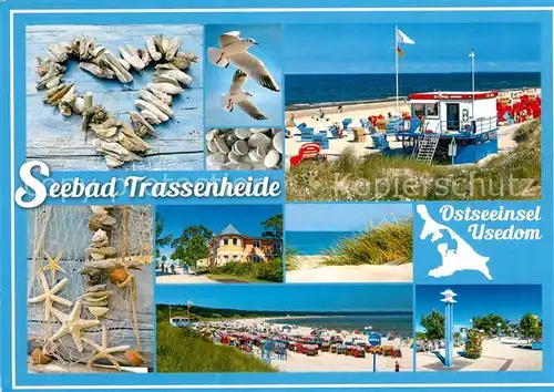 AK / Ansichtskarte Trassenheide Usedom Strand Moewen Kat. Trassenheide