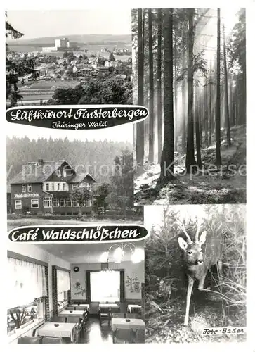 AK / Ansichtskarte Finsterbergen Panorama Luftkurort Cafe Waldschloesschen Rehkitz Waldpartie Kat. Finsterbergen Thueringer Wald