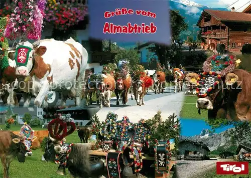 AK / Ansichtskarte Kuehe Almabtrieb Tirol  Kat. Tiere