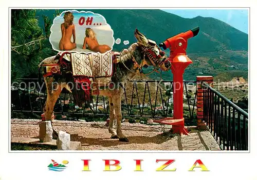 AK / Ansichtskarte Esel Tiere Humor Frauen Fernrohr Ibiza  Kat. Tiere